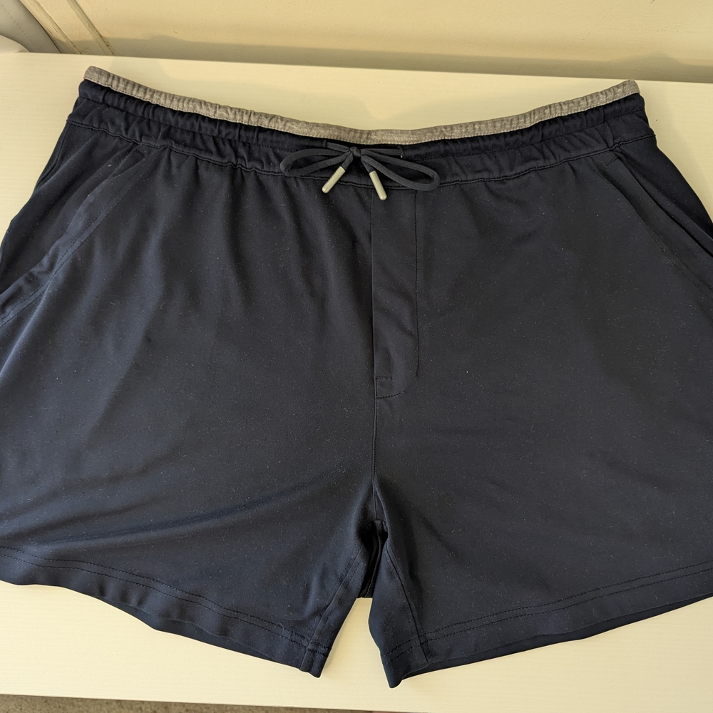 Chubbies Movementum Shorts 5.5" | Men's Medium, Lakeside Blue